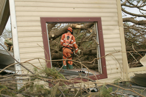 Best Root Management and Removal  in East Mountain, TX